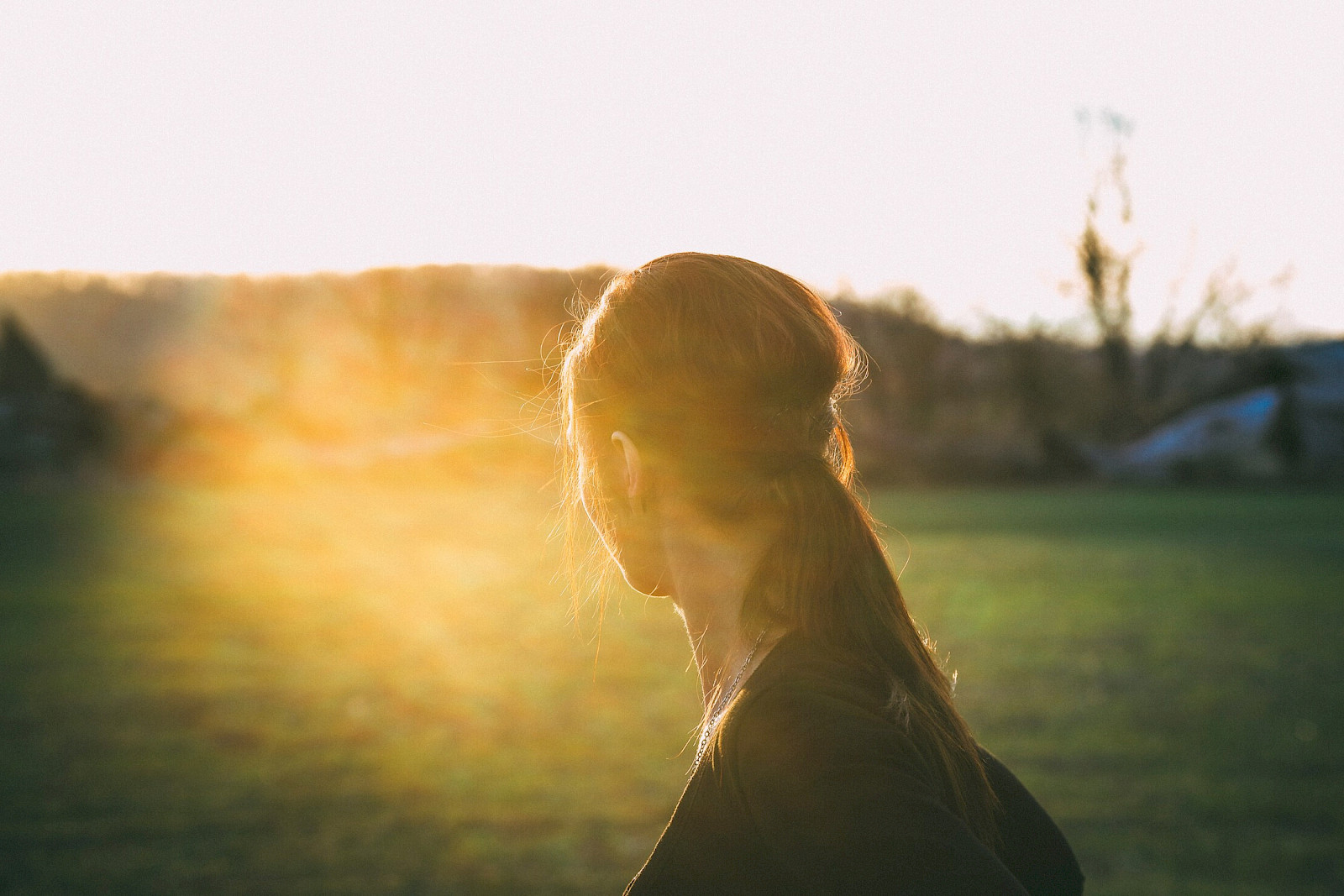 Snow covered landscape